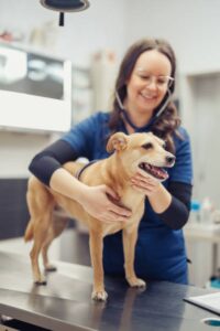 valvula de retenção agua